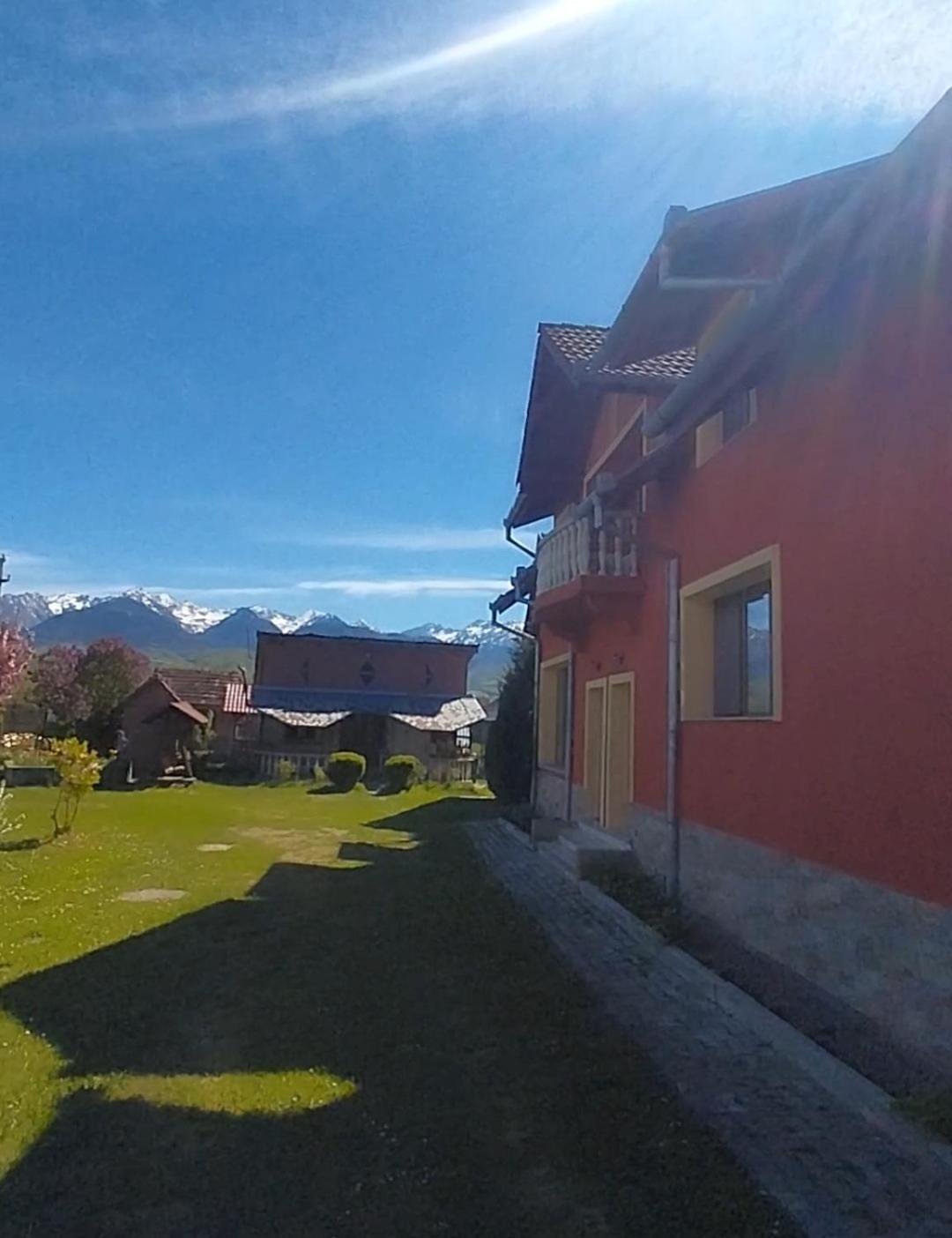 Serena House Cîrţişoara Bagian luar foto