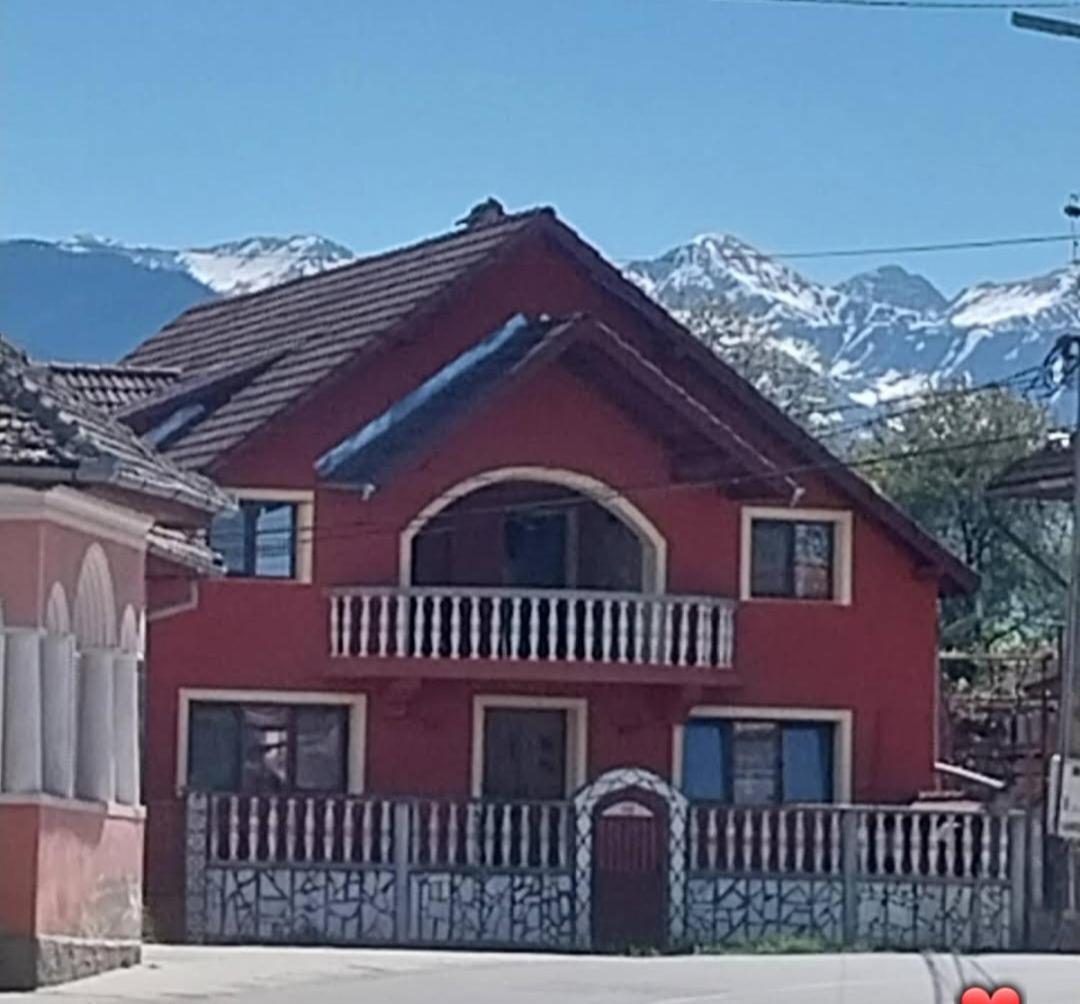 Serena House Cîrţişoara Bagian luar foto